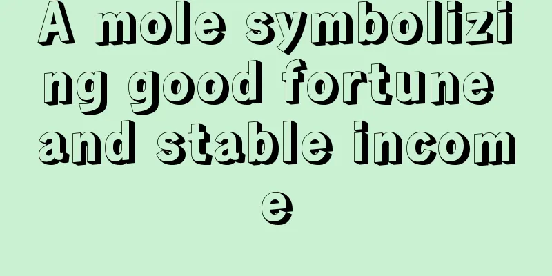 A mole symbolizing good fortune and stable income
