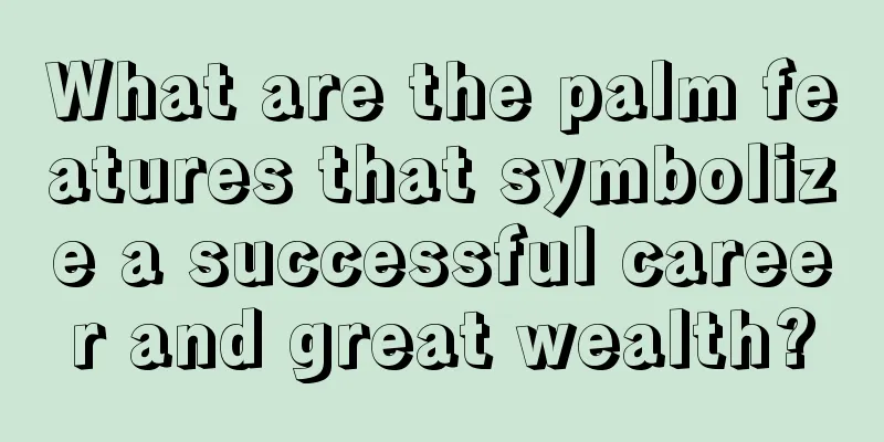 What are the palm features that symbolize a successful career and great wealth?