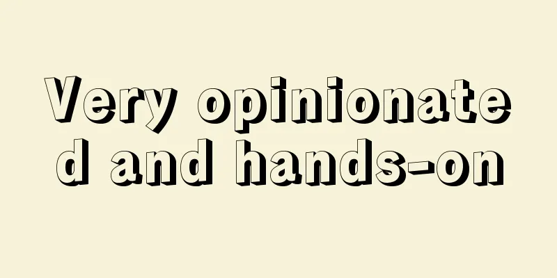 Very opinionated and hands-on