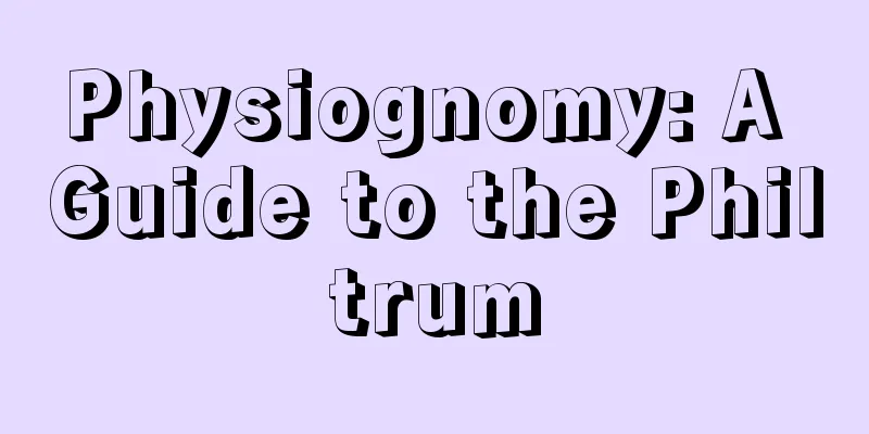 Physiognomy: A Guide to the Philtrum