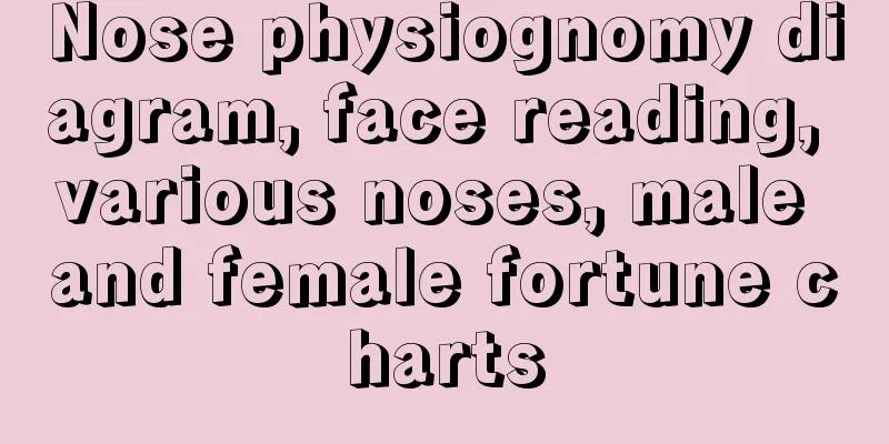 Nose physiognomy diagram, face reading, various noses, male and female fortune charts