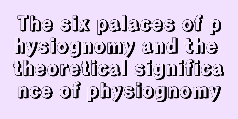 The six palaces of physiognomy and the theoretical significance of physiognomy