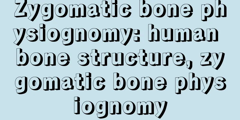 Zygomatic bone physiognomy: human bone structure, zygomatic bone physiognomy