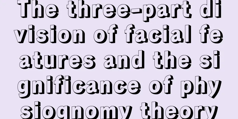 The three-part division of facial features and the significance of physiognomy theory