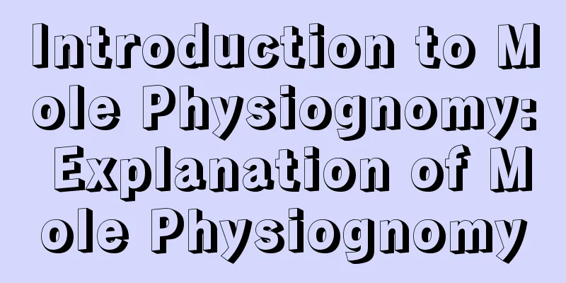 Introduction to Mole Physiognomy: Explanation of Mole Physiognomy