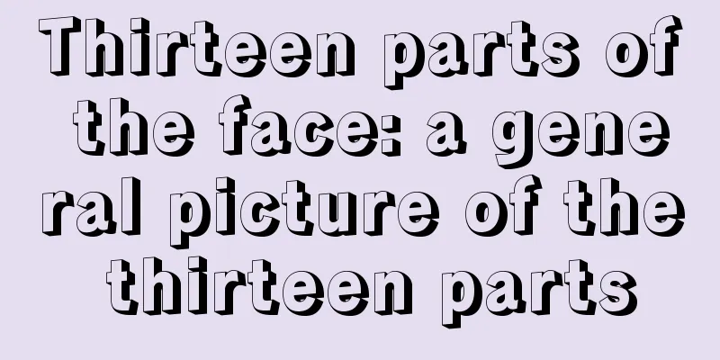 Thirteen parts of the face: a general picture of the thirteen parts