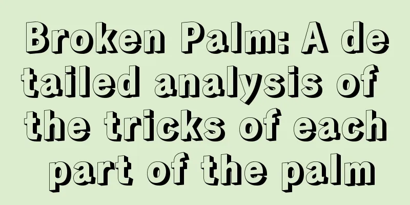 Broken Palm: A detailed analysis of the tricks of each part of the palm