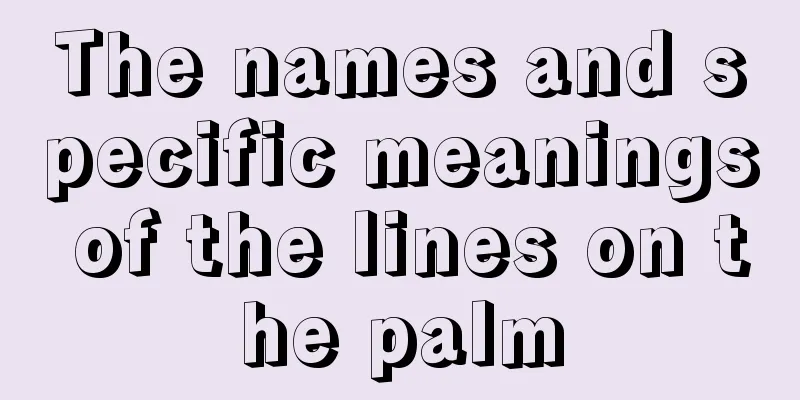 The names and specific meanings of the lines on the palm