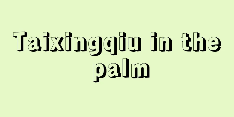 Taixingqiu in the palm