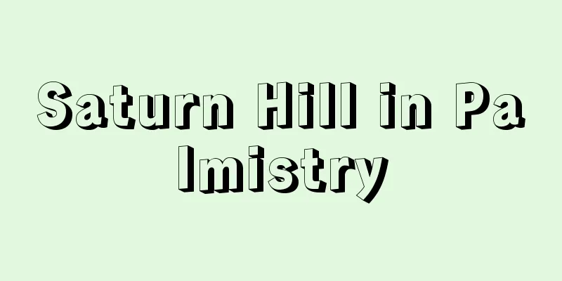 Saturn Hill in Palmistry