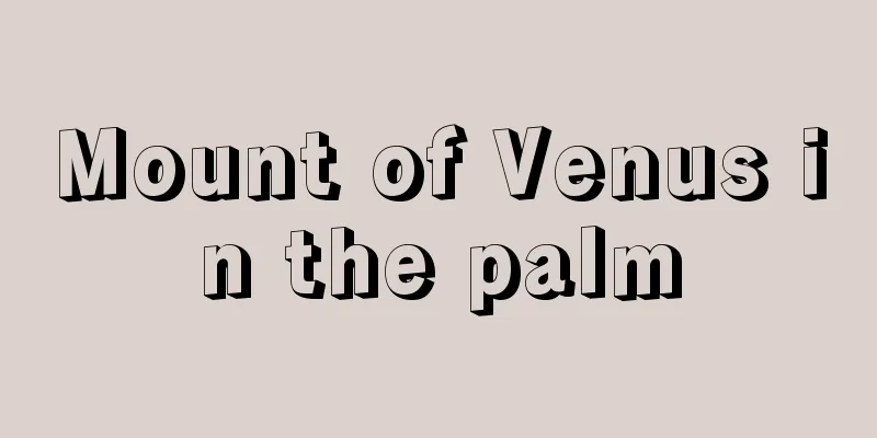 Mount of Venus in the palm