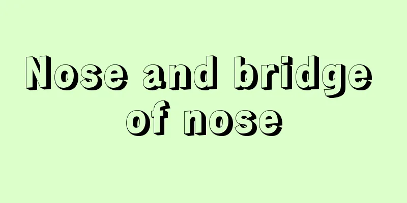 Nose and bridge of nose