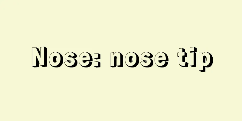 Nose: nose tip