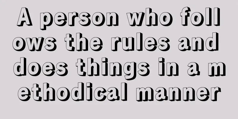 A person who follows the rules and does things in a methodical manner