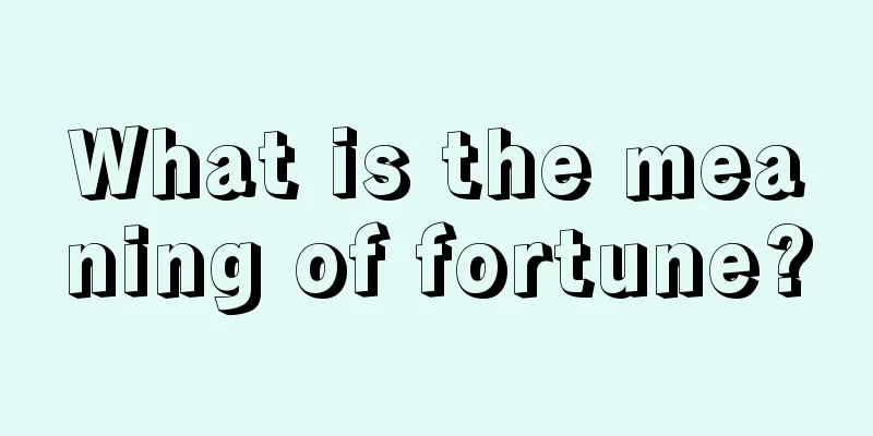 What is the meaning of fortune?