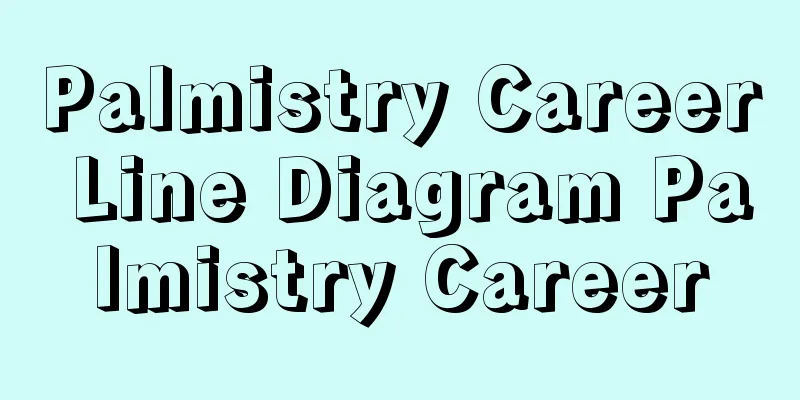 Palmistry Career Line Diagram Palmistry Career