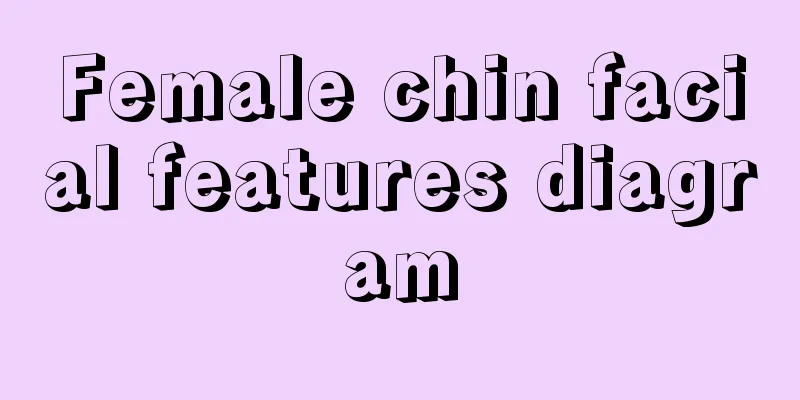 Female chin facial features diagram