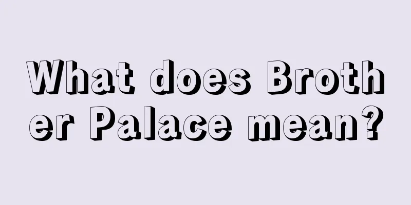 What does Brother Palace mean?