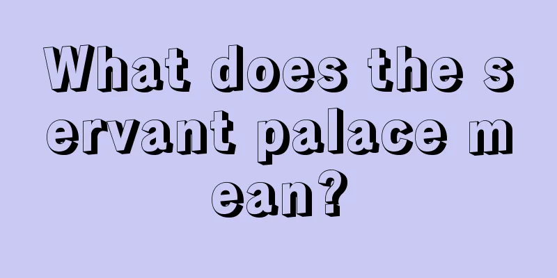 What does the servant palace mean?