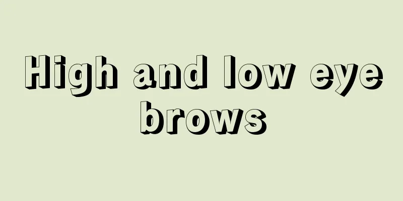 High and low eyebrows