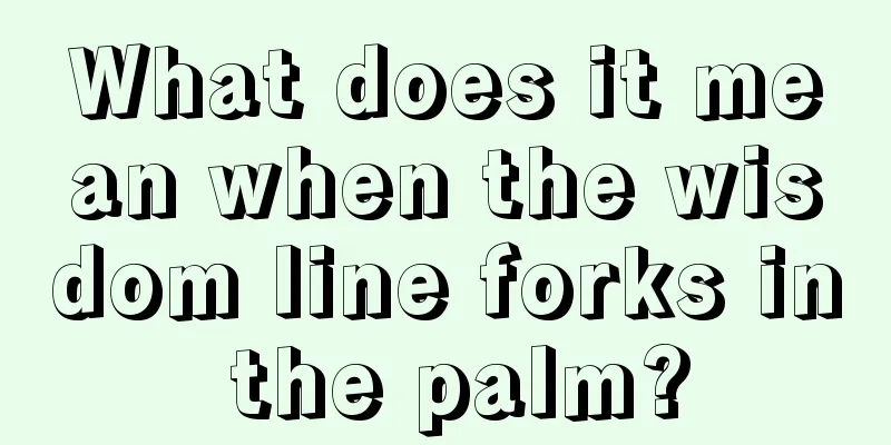 What does it mean when the wisdom line forks in the palm?