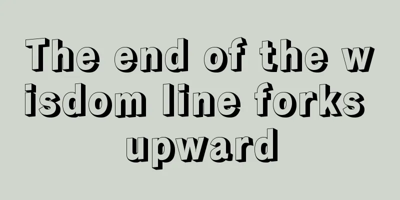 The end of the wisdom line forks upward
