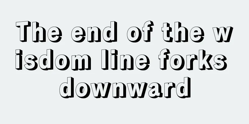The end of the wisdom line forks downward