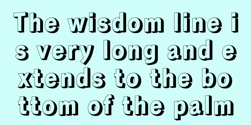 The wisdom line is very long and extends to the bottom of the palm