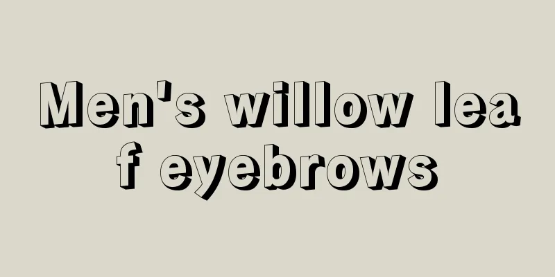 Men's willow leaf eyebrows