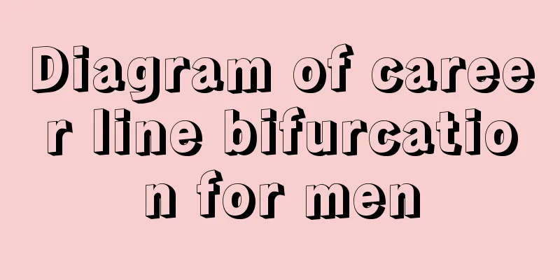 Diagram of career line bifurcation for men