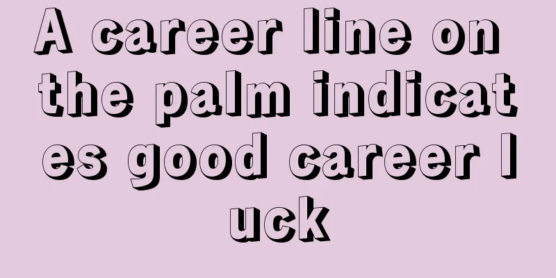 A career line on the palm indicates good career luck