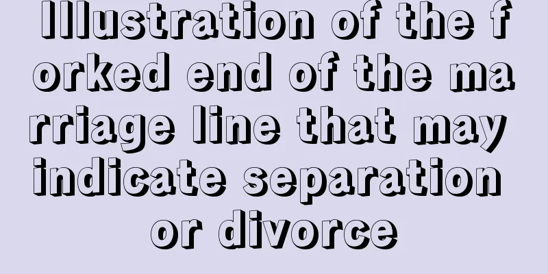 Illustration of the forked end of the marriage line that may indicate separation or divorce