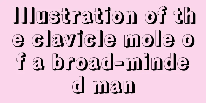 Illustration of the clavicle mole of a broad-minded man