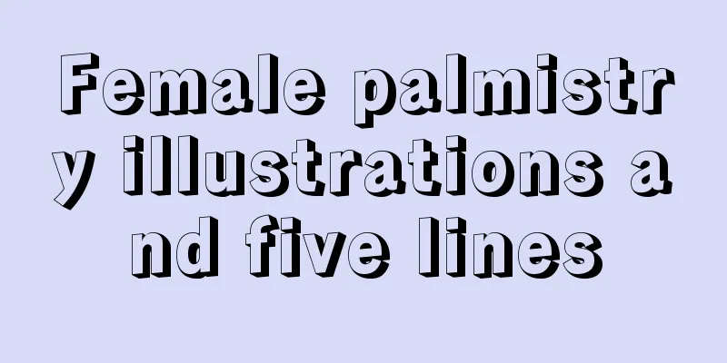 Female palmistry illustrations and five lines