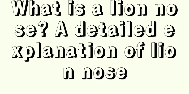 What is a lion nose? A detailed explanation of lion nose