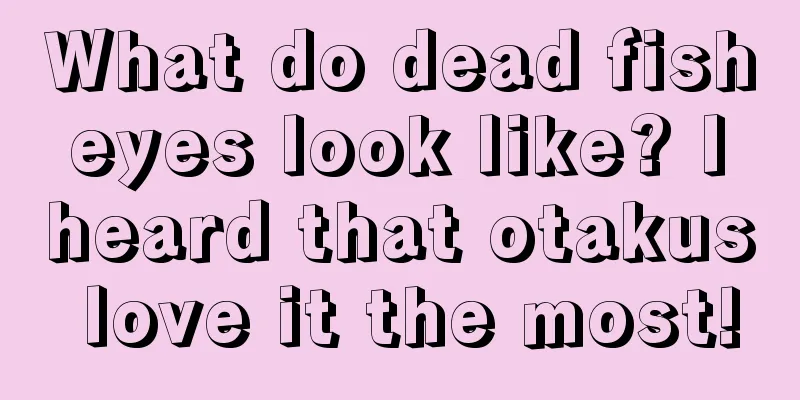 What do dead fish eyes look like? I heard that otakus love it the most!