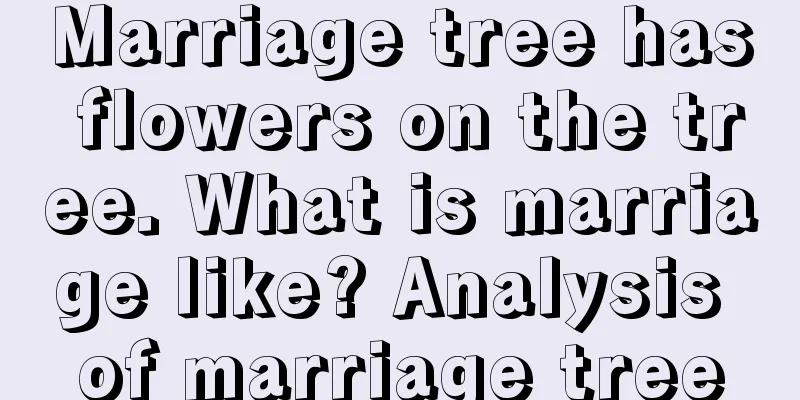 Marriage tree has flowers on the tree. What is marriage like? Analysis of marriage tree