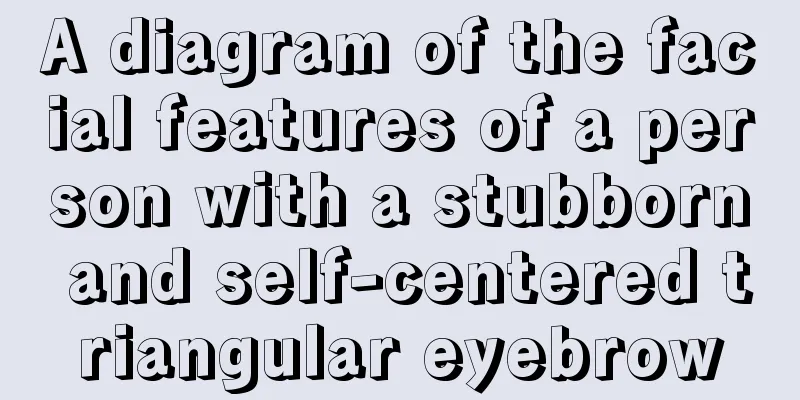 A diagram of the facial features of a person with a stubborn and self-centered triangular eyebrow