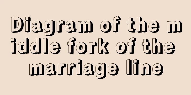 Diagram of the middle fork of the marriage line