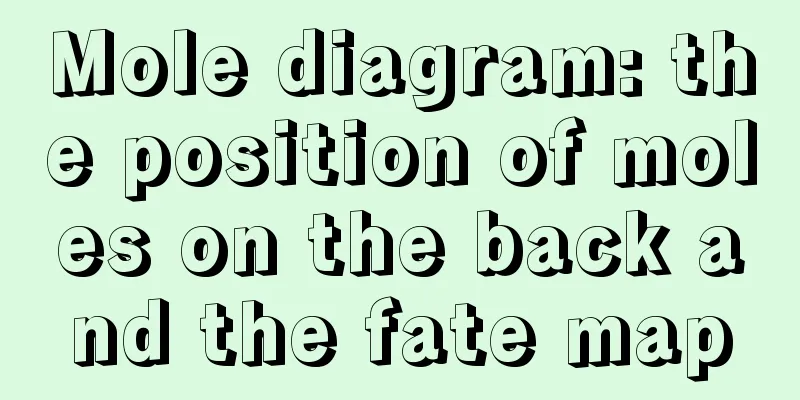 Mole diagram: the position of moles on the back and the fate map