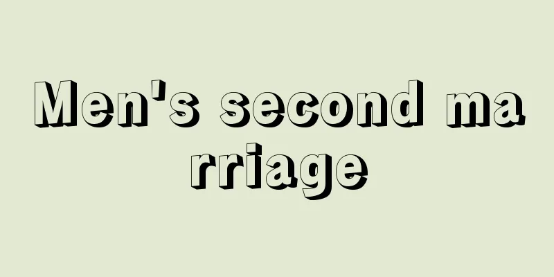 Men's second marriage