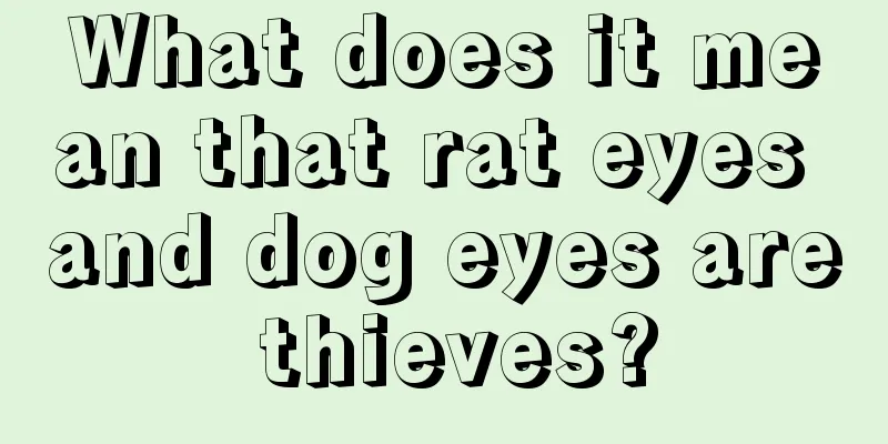 What does it mean that rat eyes and dog eyes are thieves?