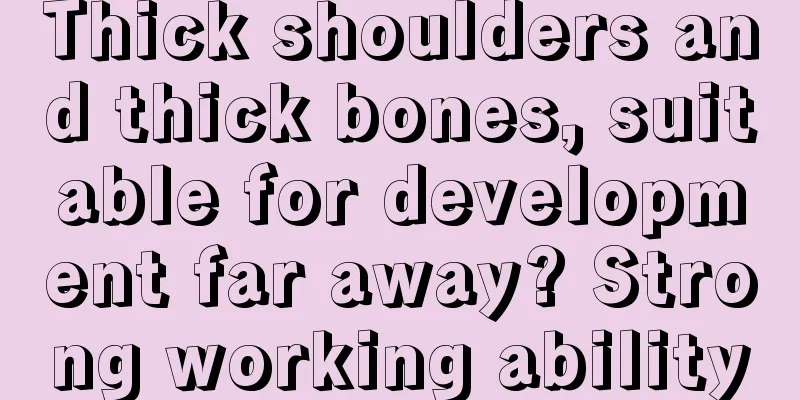 Thick shoulders and thick bones, suitable for development far away? Strong working ability
