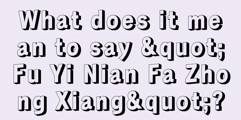 What does it mean to say "Fu Yi Nian Fa Zhong Xiang"?