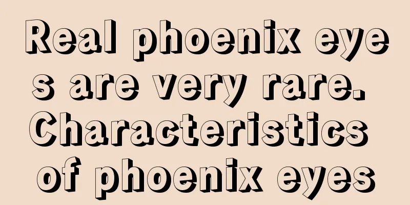Real phoenix eyes are very rare. Characteristics of phoenix eyes
