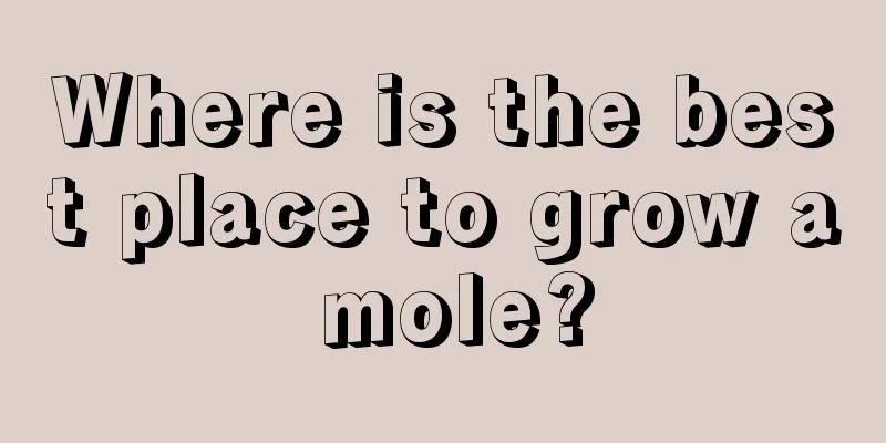 Where is the best place to grow a mole?