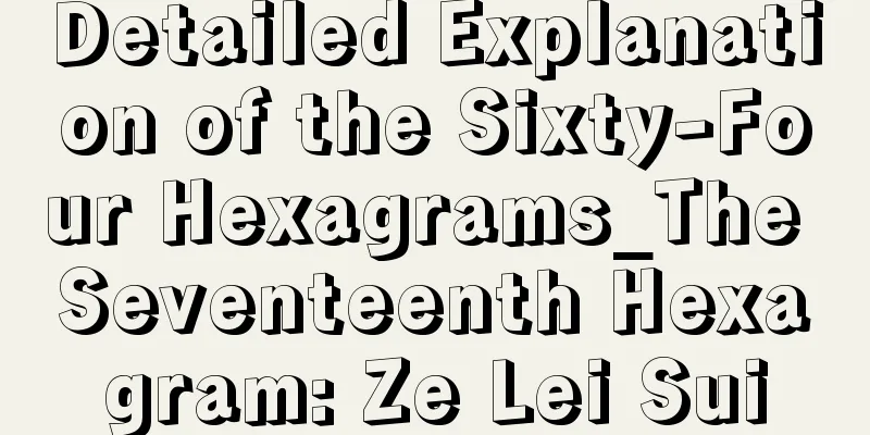 Detailed Explanation of the Sixty-Four Hexagrams_The Seventeenth Hexagram: Ze Lei Sui