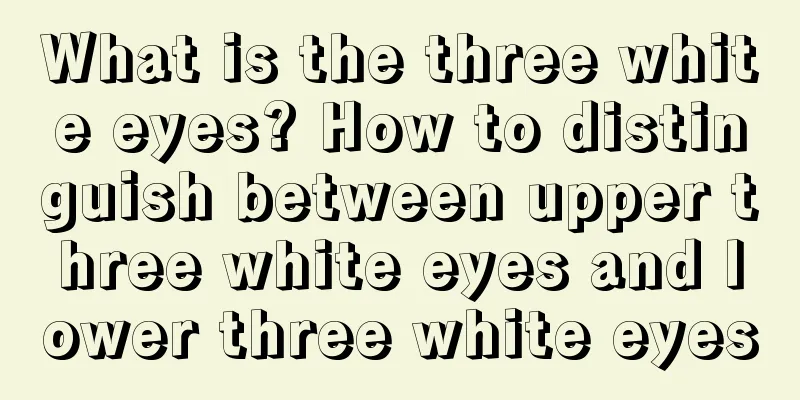 What is the three white eyes? How to distinguish between upper three white eyes and lower three white eyes