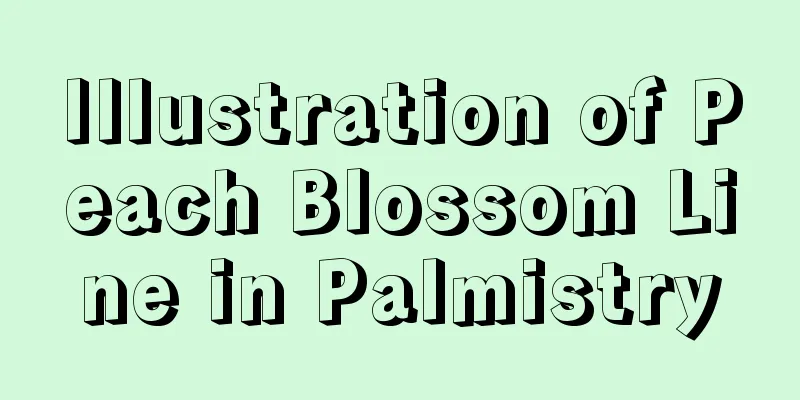Illustration of Peach Blossom Line in Palmistry