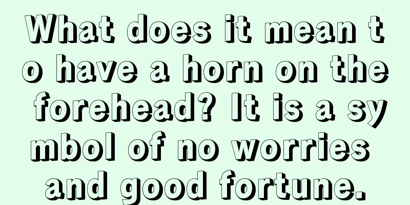 What does it mean to have a horn on the forehead? It is a symbol of no worries and good fortune.